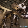 撮って出し　国際科学博物館　24