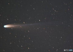 2025A6（レモン彗星）拡大