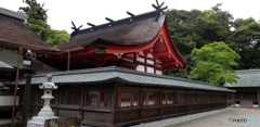宗像大社　本殿