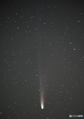 2025A6( レモン彗星)
