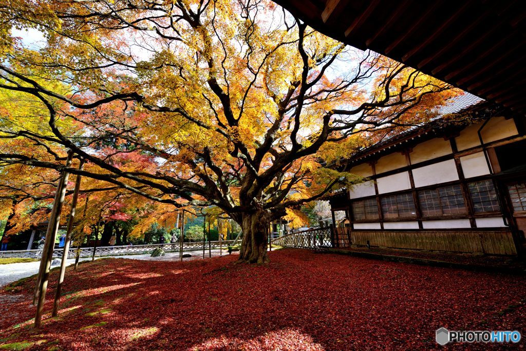 雷山千妙如寺大悲王院