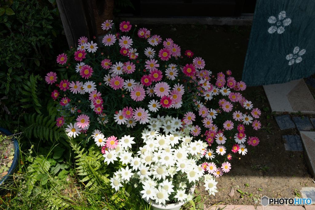 漁蓮坊窯　陶芸祭り　⑦