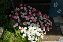 漁蓮坊窯　陶芸祭り　⑦