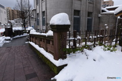 金沢　百万石通り　①