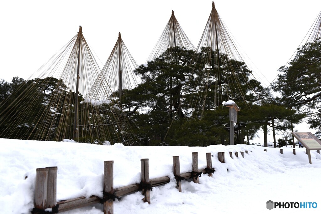 兼六園　⑥