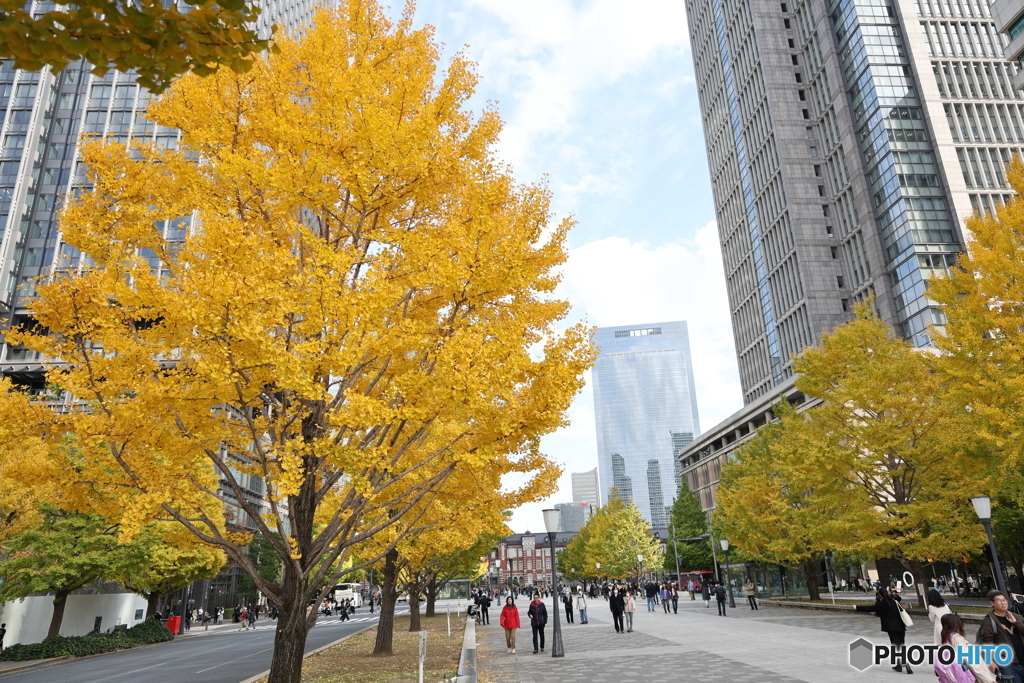 日光の旅　番外編