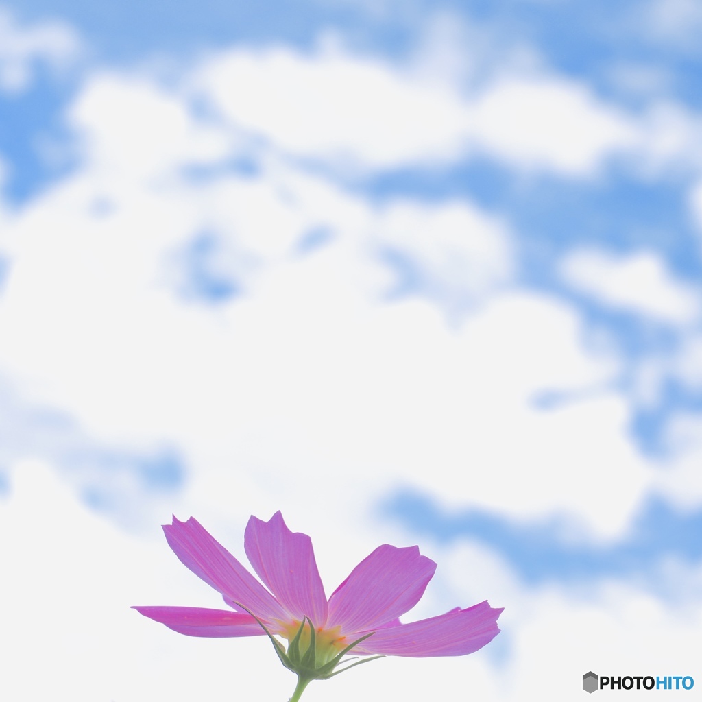 ふわふわ