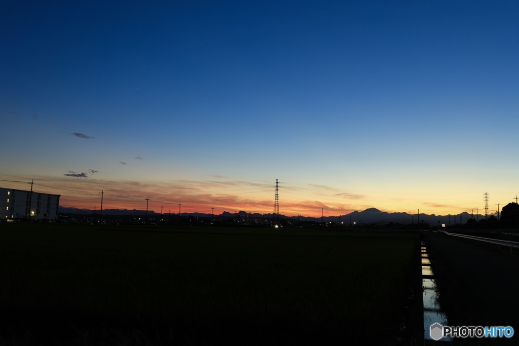水田より