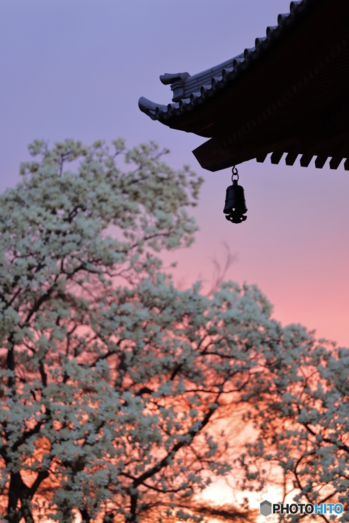 夕刻の青