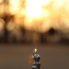 公園の水飲み場　夕暮れ
