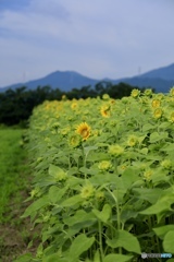 2018年7月16日