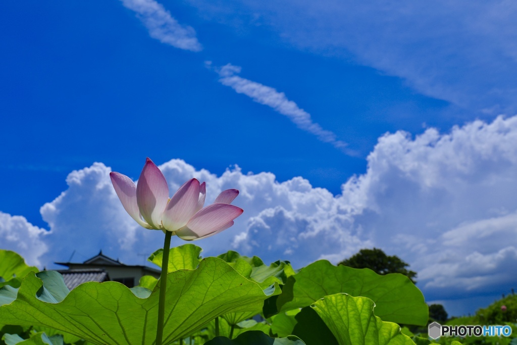 台風一過