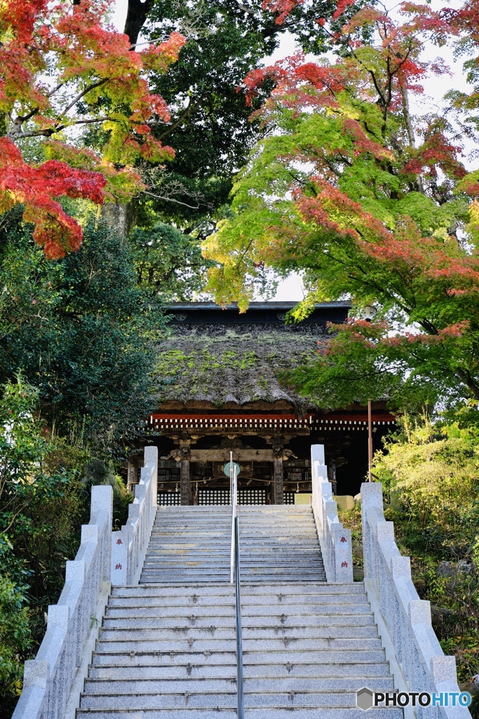 縁起達磨の少林山2