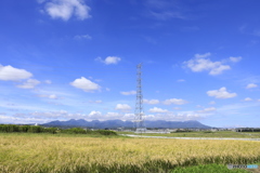 田畑と榛名山