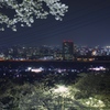 夜景 観音山