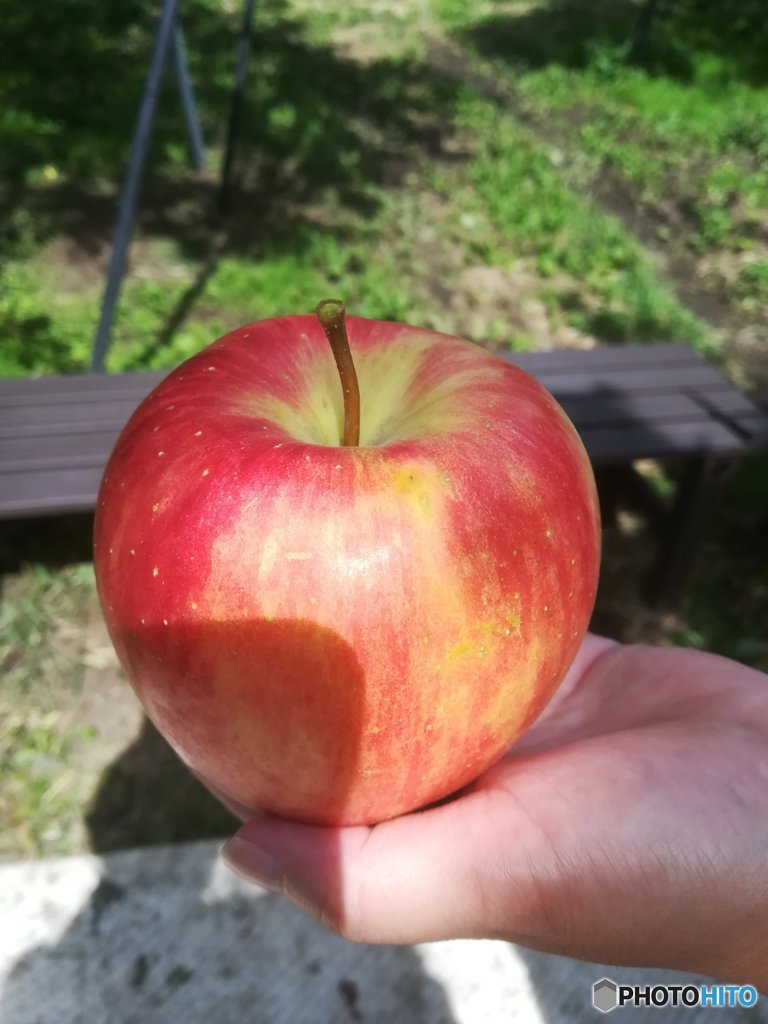 おひとつどうぞ～♪