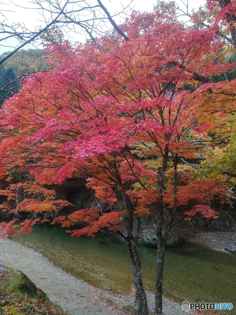 紅葉と河原