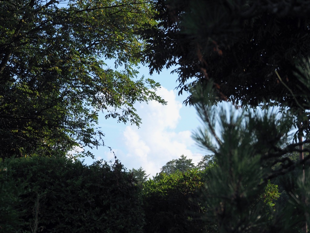 夏
