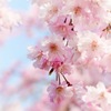 優しい光に照らされて