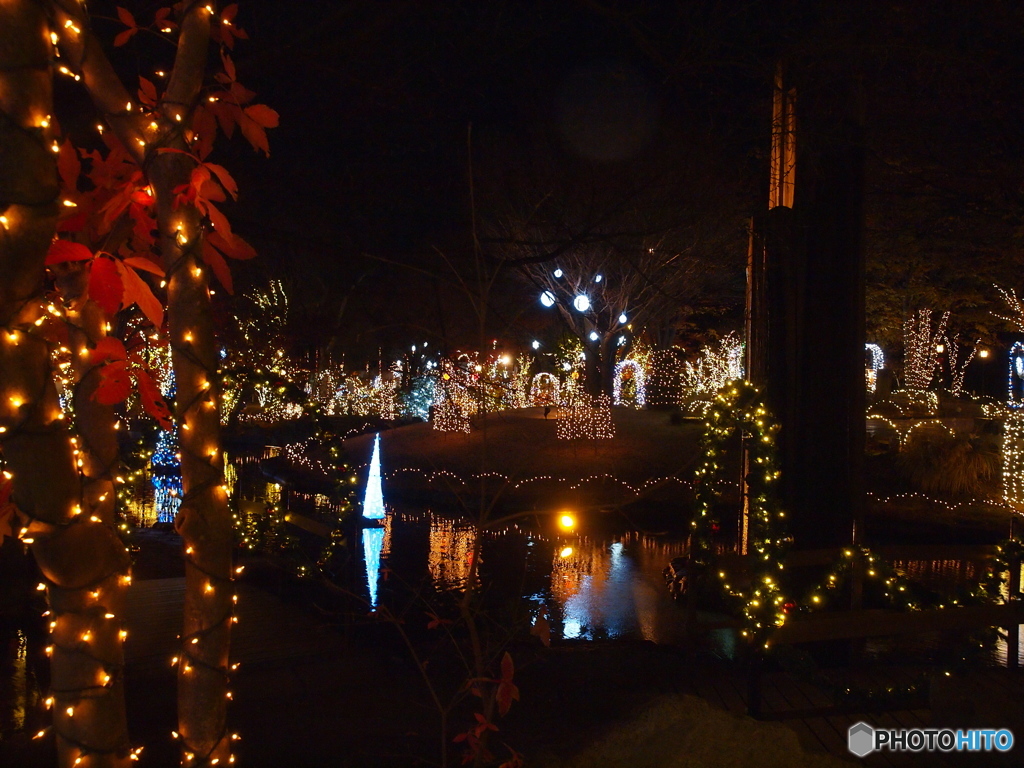 illumination