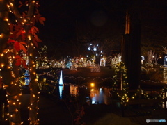 illumination