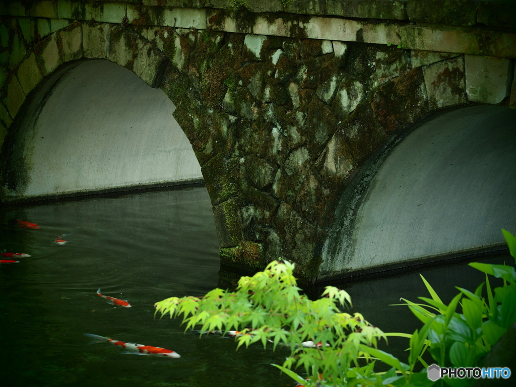 池に架かける橋