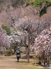 早春を歩く