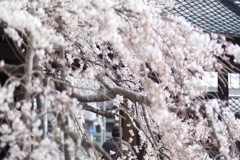fullsizeoutput_5625
