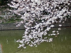 温かい