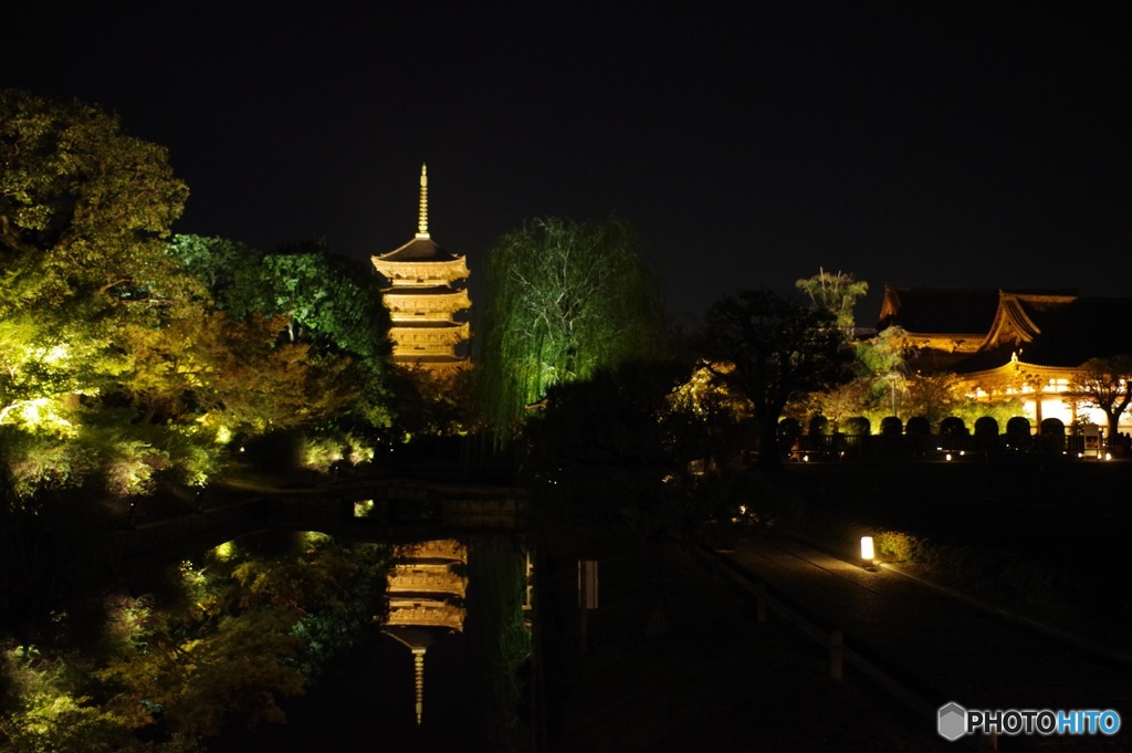 東寺ライトアップ