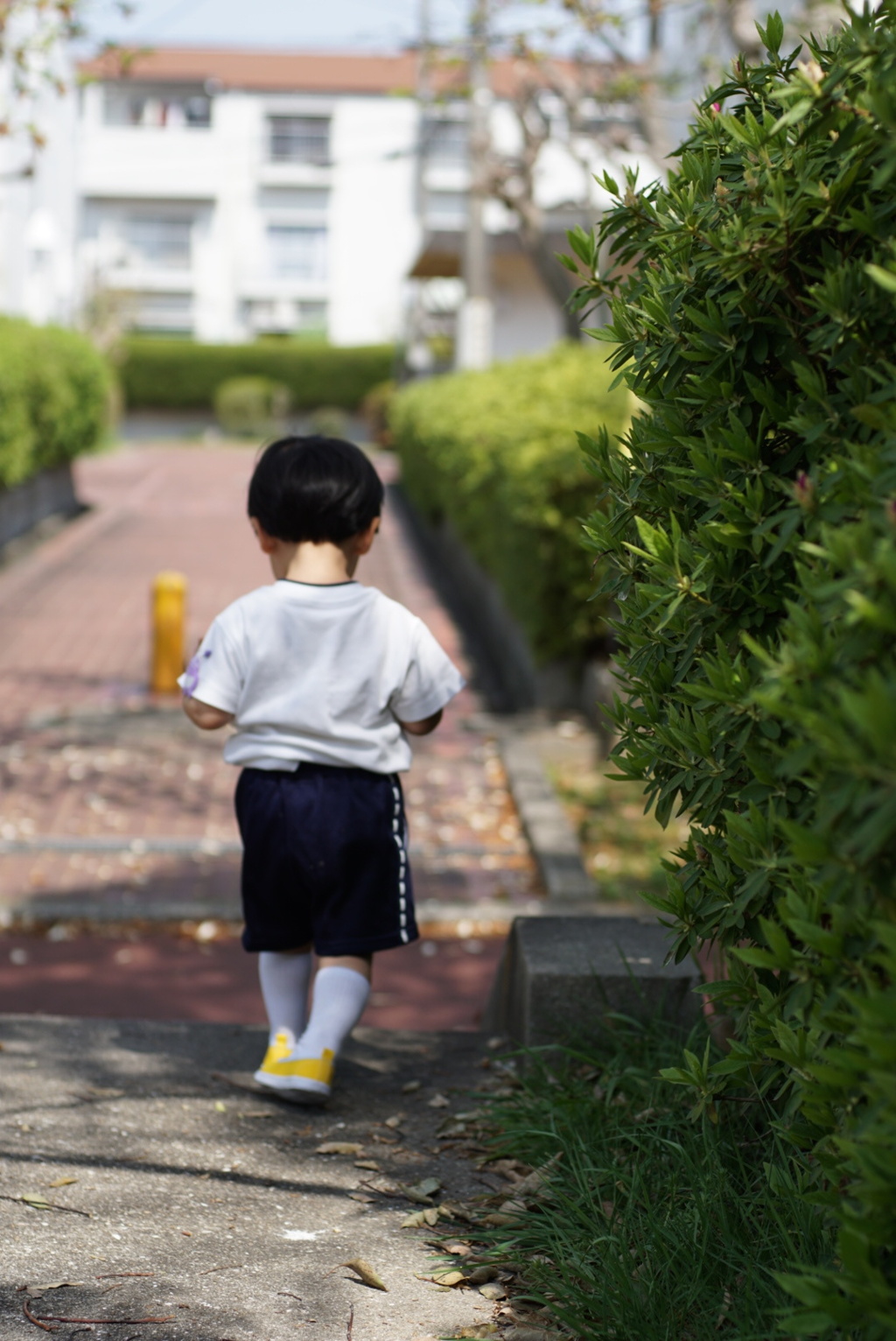 入園式の帰り道