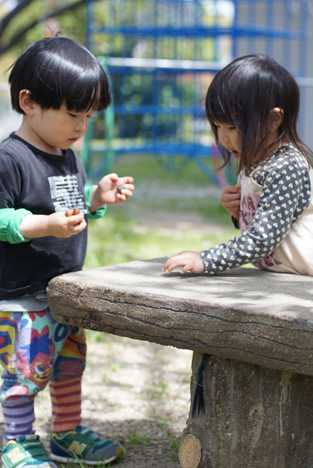 どんぐり交換会