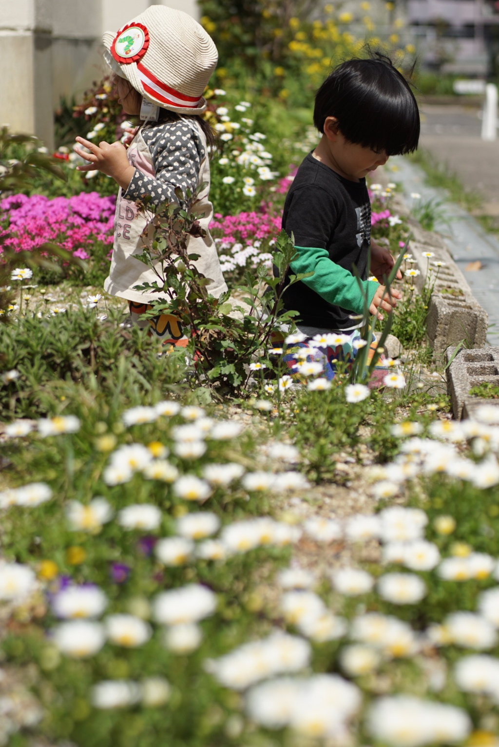 花壇もお花畑