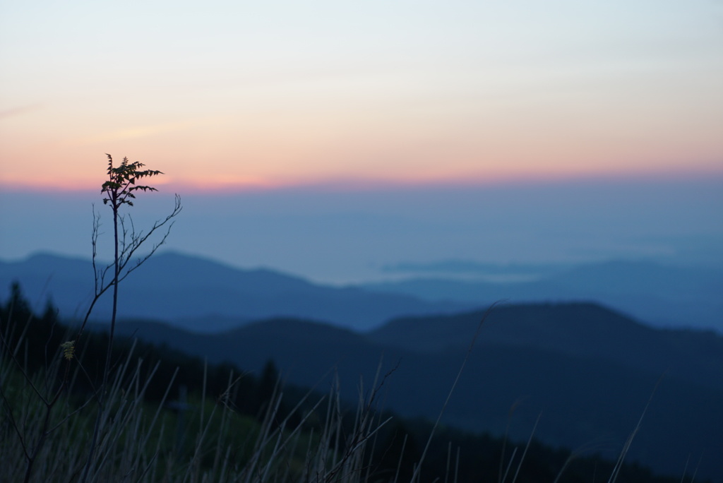 夕暮れ