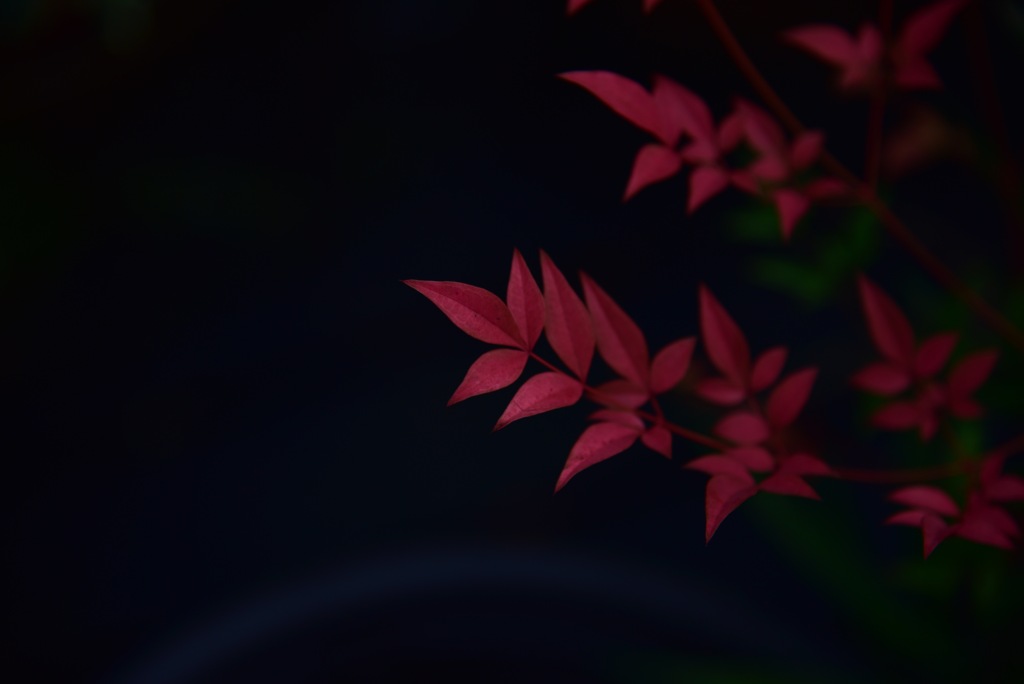 自宅にて