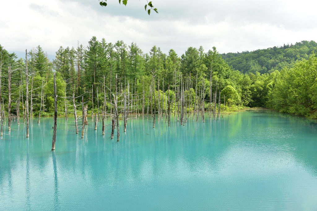 青い池