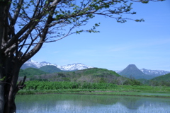 黄金山.