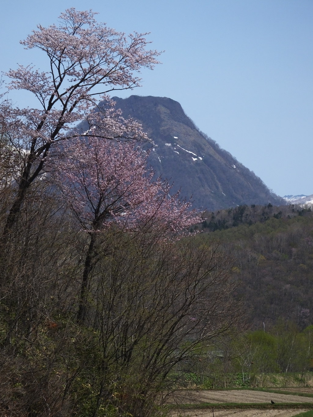 黄金山　｢浜益富士」