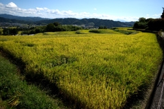 原風景