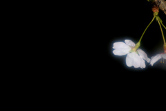 うかぶ