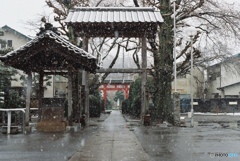 2018/3/21/春分の日