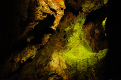 龍泉洞の苔
