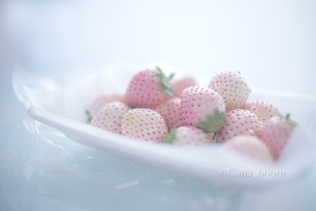 白雪姫