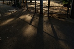 下校