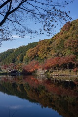 鎌北湖にて