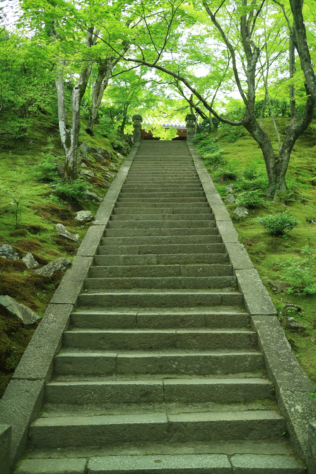 緑＆階段