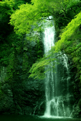 緑＆滝part2