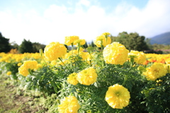 20161024153900_IMG_5073