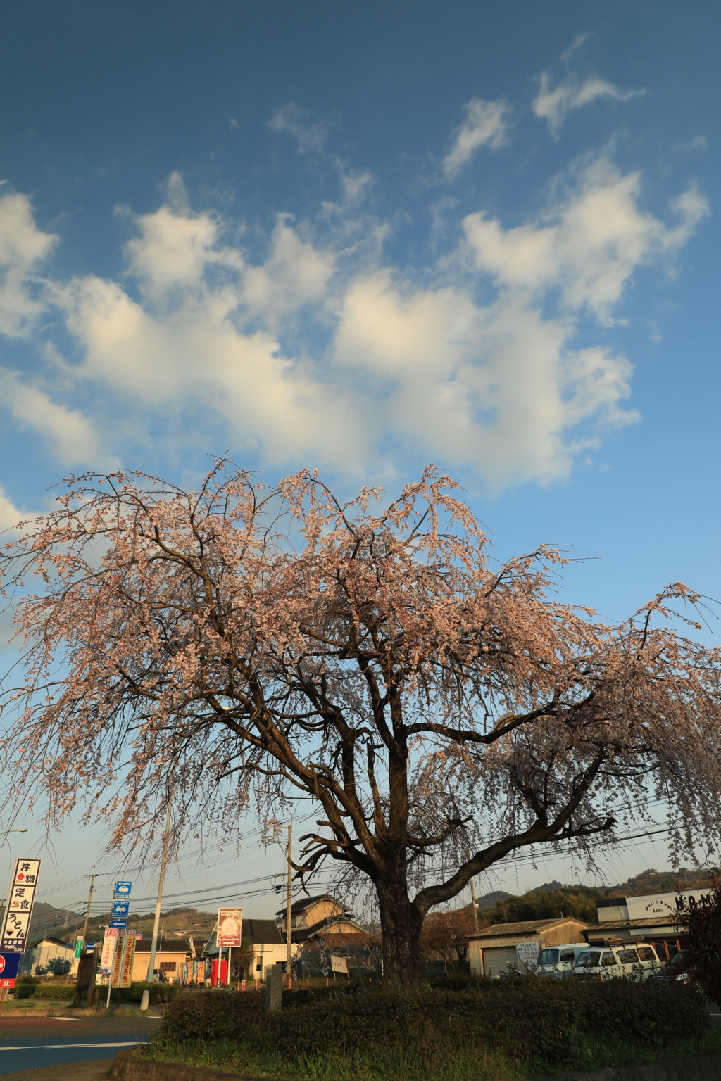 20180324174553_6J0A6638