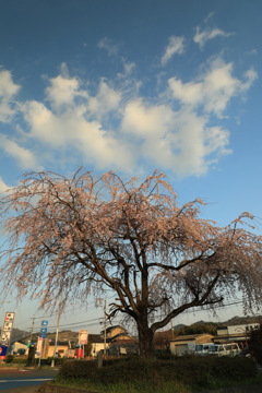 20180324174553_6J0A6638
